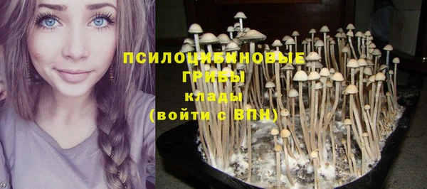 тгк Заводоуковск